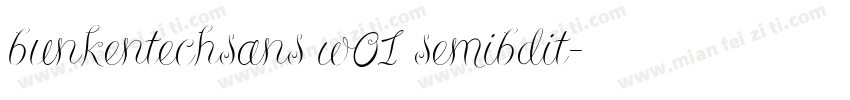 bunkentechsans w01 semibdit字体转换